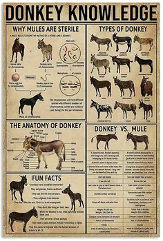 Металлический плакат Licpact Donkey Knowledge Забавный Металлический жестяной знак 